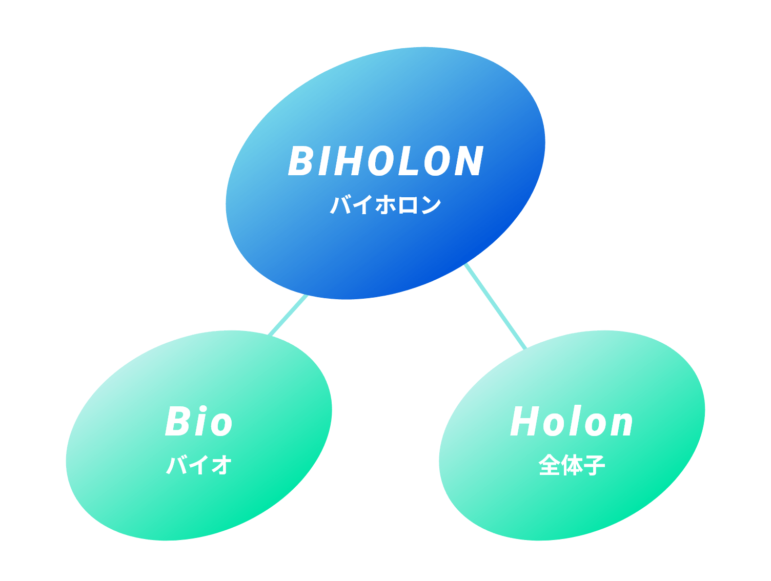 社名の由来